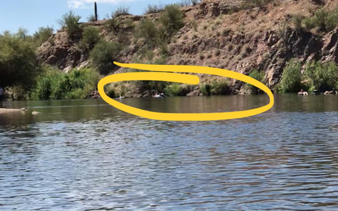 Water Safety Rescue
